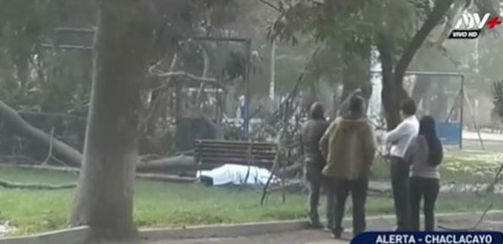 El trágico hecho ocurrió en el parque San Juan, en Chaclacayo. (ATV+)