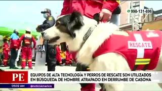 Cercado de Lima: perros ayudan a rescatistas en la búsqueda de obrero sepultado