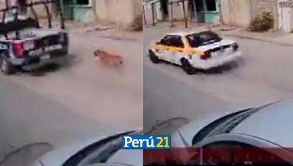 El can fue arrastrado por la fuerza del vehículo por varios metros./ Foto: Composición - Twitter Expreso Noticias
