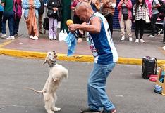 Pin Pon, el perrito bailarín de Gamarra que te robará el corazón (VIDEO)
