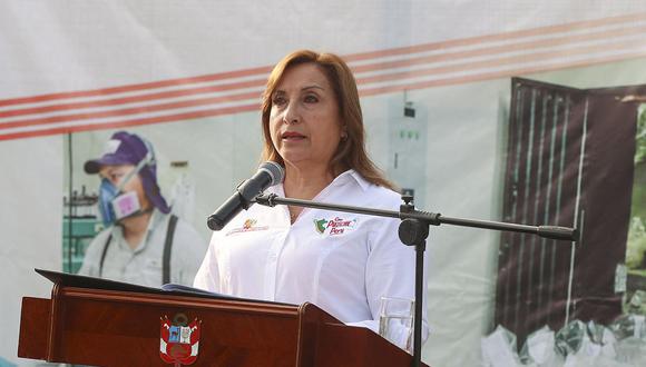 La Presidencia de la República que ejerce Dina Boluarte recibirá asesoría en materia constitucional. (Foto: Presidencia)