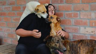 ‘Santuario Felicidad’: una segunda oportunidad para perros y gatos rescatados del abandono [VIDEO]