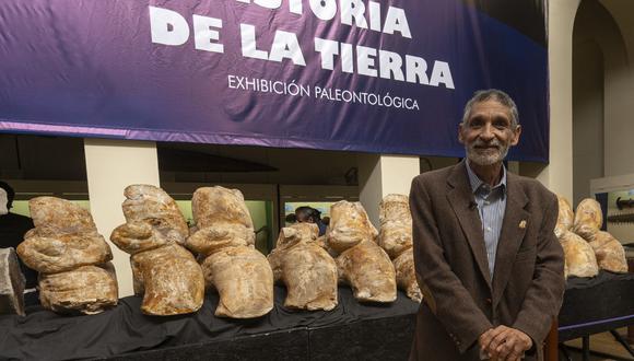 Buena noticia del 2023: el paleontólogo peruano Mario Urbina posa junto a los restos fosilizados del coloso Perucetus. (Foto: Cris BOURONCLE / AFP)