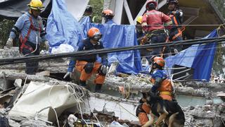 Terremoto en México: Abejas atacan tras sismo y matan a hombre