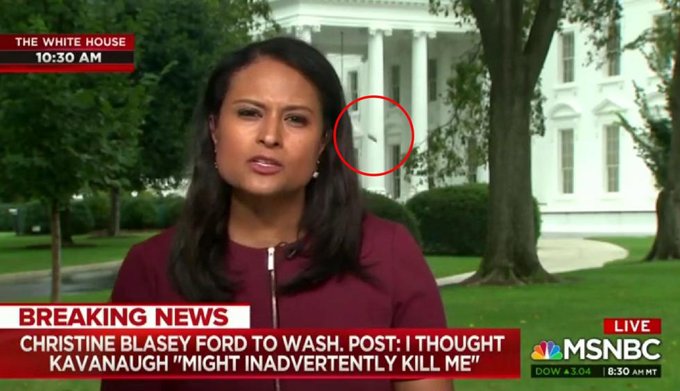 Reportera fue interrumpida por una molesta abeja cuando reportaba desde los exteriores de la Casa Blanca. (Crédito: MSNBC en Facebook)