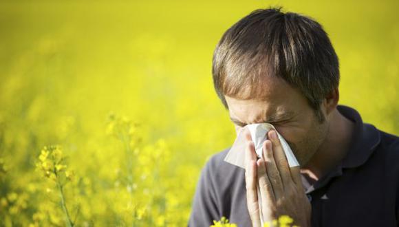 DIAGNÓSTICO. Clave para luchar contra las alergias. (USI)