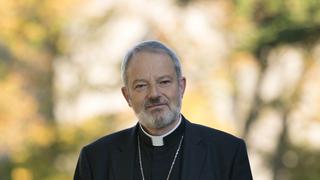 Obispo irlandés tras referéndum sobre aborto: Los que votaron "sí" han "pecado"