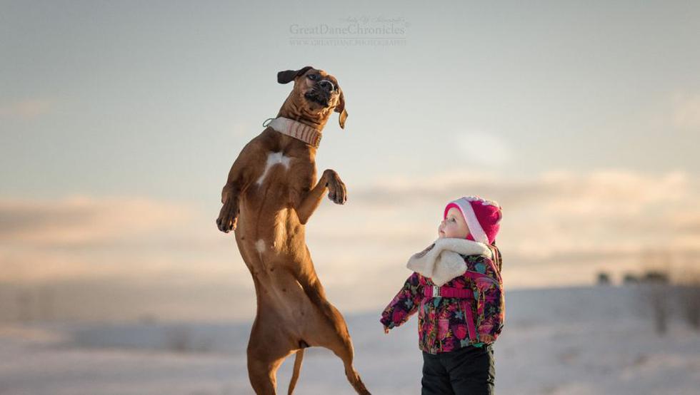 ¿Los perros grandes y los niños pueden divertirse? Este fotógrafo lo confirma. (Andy Seliverstoff)