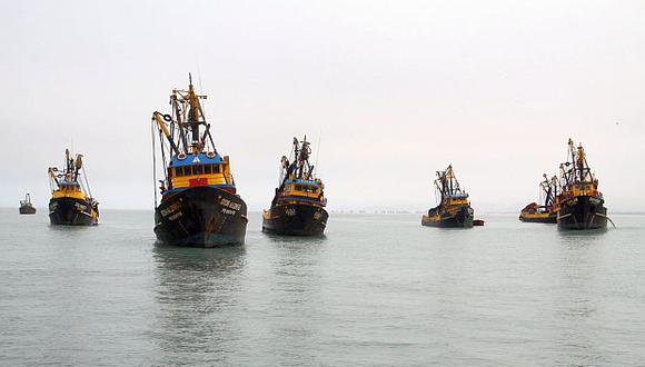 La pota es la segunda pesquería más importante del país después de la anchoveta. (Foto: GEC)