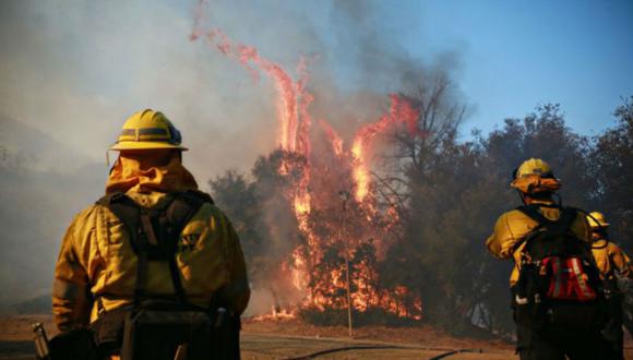 El "Camp Fire" arrasó asimismo casi 62 mil hectáreas, 14 mil viviendas y cientos de otras construcciones. | Foto: AFP