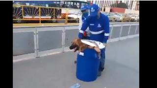 Metropolitano: Protransporte se pronuncia sobre video en el que perro es retirado en barril | VIDEO