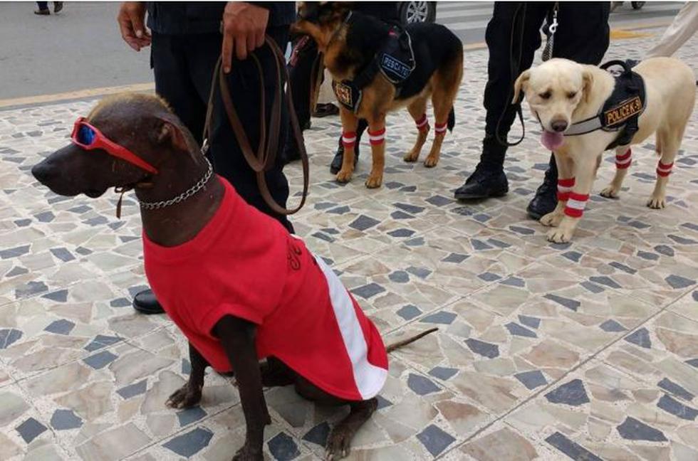 Policía Canina de Chiclayo muestra su apoyo a la ´bicolor'. (Andina)