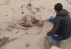 ¡Impactante! Hombre fue arrastrado por huaico en Camaná y salvó de morir gracias a vecinos (VIDEO)