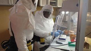 Ébola: La genética puede influir en mortalidad del virus