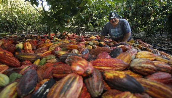La UE es uno de los principales destinos de nuestro cacao. (Foto: Dante Piaggio)&nbsp;
