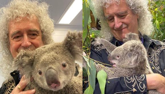 Brian May y Koala afectado por incendio en Australia.