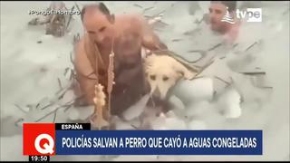 España: Policías arriesgan sus vidas para rescatar a perro que cayó en aguas congeladas