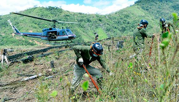 Las acciones se desarrollaron en 1,352 parcelas de los ejes operacionales de Constitución, en la provincia de Puerto Inca, región Huánuco, y en Tamaya, ubicado en la provincia de Coronel Portillo, región Ucayali.