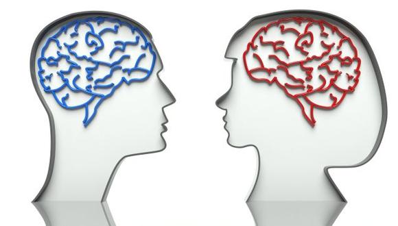 El cerebro masculino tiene mayor conectividad entre percepción y acción coordinada. (USI)