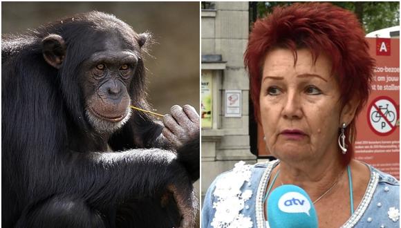 Zoológico de Bélgica prohíbe el acceso a mujer acusándola de tener "romance" con un chimpancé. (Foto: Pixabay y ATV)