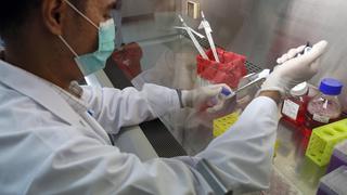 Científicos peruanos ya están probando las primeras vacunas contra el COVID-19 en ratones
