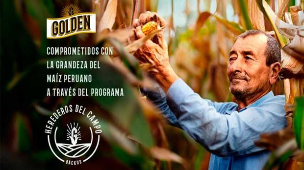 'Herederos del Campo': Support program and local purchase of corn will improve the productivity of more than 12 thousand families in San Martín and Lambayeque