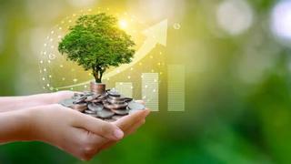 ESG: Cuatro datos importantes que no conocías sobre las inversiones responsables
