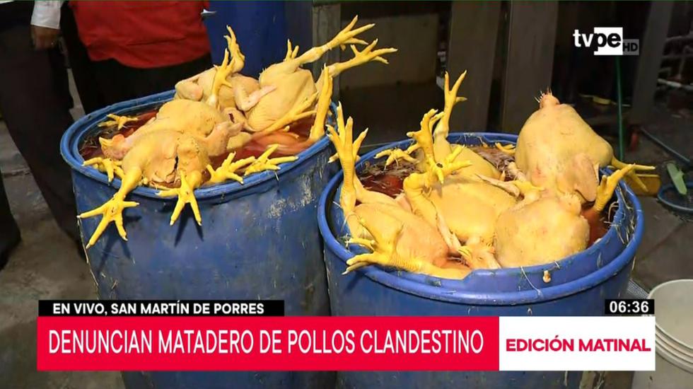Varios locales de acopio de aves fueron intervenidos al no contar con licencia de funcionamiento y no contar con las mínimas condiciones de salubridad. (Captura: TV Perú Noticias)