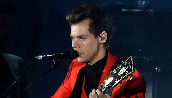 Harry Styles fue tocado indebidamente en pleno concierto. (AFP)