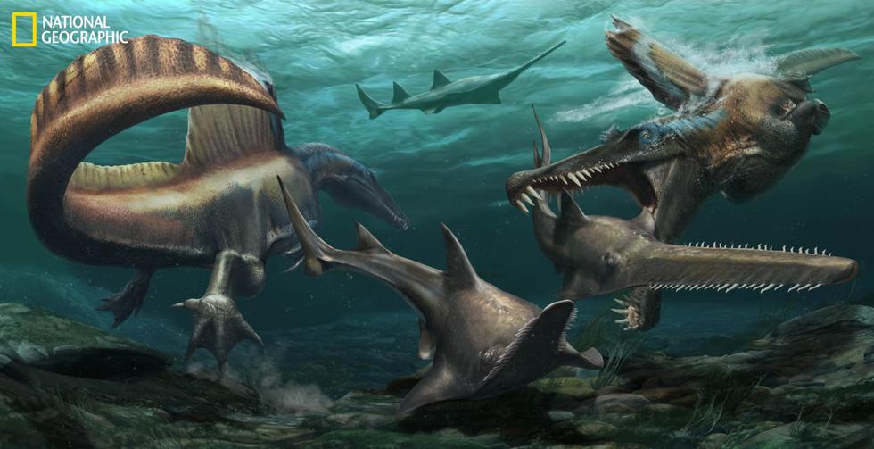 Dinosaurios | Hallan fósil más completo de Spinosaurus: El dinosaurio  depredador de mayor longitud fue acuático | CIENCIA | PERU21