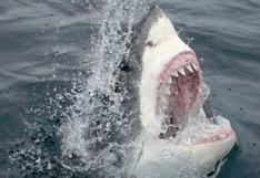 ¡De terror! Tiburón asesina a joven en frente de sus amigos en Cuba