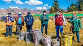 Cusco: Municipio de San Sebastián compra una tonelada de papa para ‘Ollas Solidarias’ 