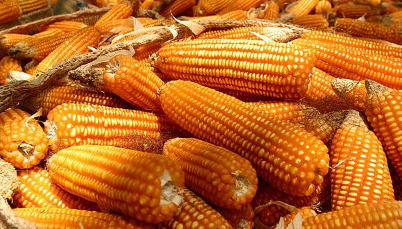 Residentes del norte y del sur chico gustaban del maíz. (USI)