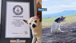 Pebbles: El perro Guinness más viejo del mundo murió a los 22 años 