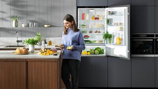 Presentan refrigeradoras para evitar el desperdicio de alimentos