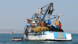 Se establecen medidas de interdicción para combatir la pesca ilegal