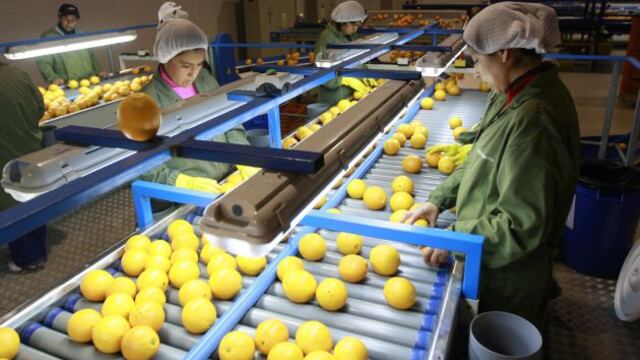 China ya saborea las naranjas y mandarinas peruanas