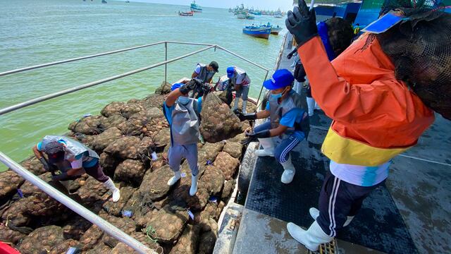 Certificación sanitaria en bahía de Sechura fomentará miles de puestos de trabajo local en maricultura