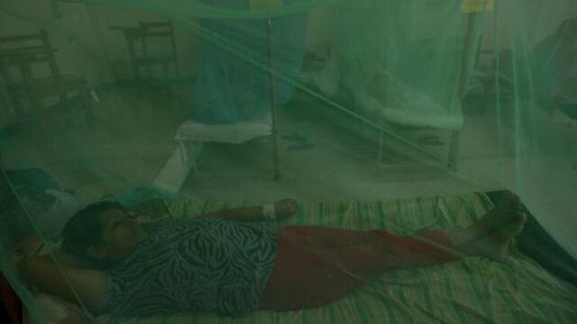 Confirman 13 casos de dengue en Tumbes