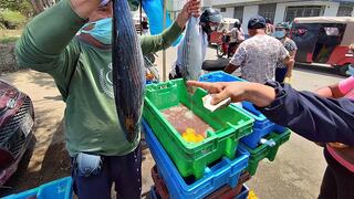 “Debe existir una alianza entre pescadores y restaurantes para evitar que precios se disparen”, según Armap