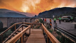 Ola de calor en Europa: miles de víctimas y centenares de hectáreas incendiadas