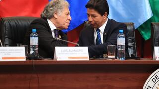 OEA aprobó resolución de apoyo al Gobierno de Pedro Castillo y enviará misión a Perú