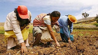 AGAP: No excluyan al sector privado del grupo de trabajo sectorial para la segunda reforma agraria