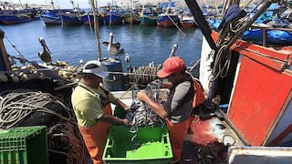 Produce: Nuevas tasas de derechos de pesca se definirán de manera técnica y transparente