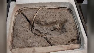 Chile: Hallan la más antigua huella de un ser humano de América
