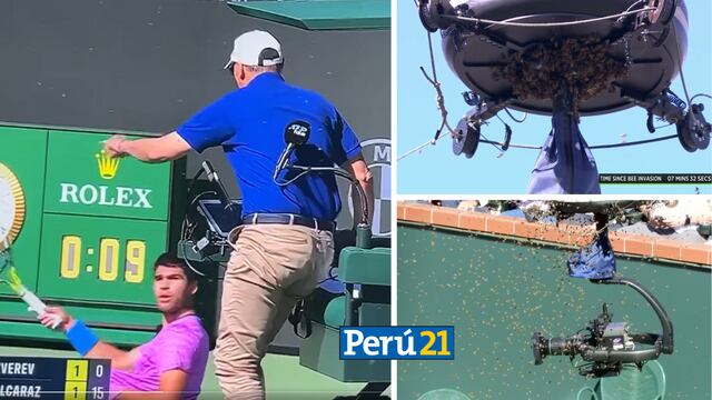 Estados Unidos: Enjambre de abejas ataca a tenista Carlos Alcaraz y detiene juego del Indian Wells