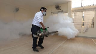 Dengue: Defensoría pide mayor articulación para atender la lucha contra el dengue en Comas