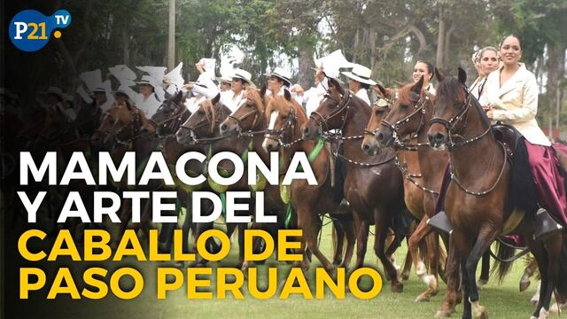 Mamacona y el hermoso arte de celebrar al Caballo de Paso Peruano