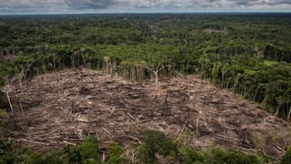 Ley Forestal que impacta en la Amazonía retornará a comisiones