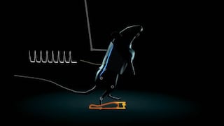 Suiza: Ratas parapléjicas logran caminar con impulsos eléctricos automodulados
